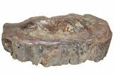 Colorful Polished Petrified Wood Dish - Madagascar #207409-2